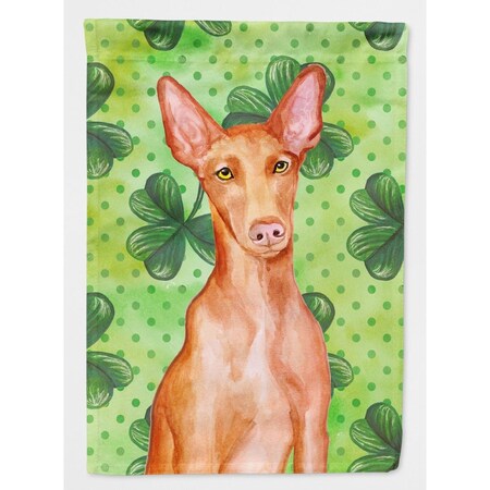 Carolines Treasures Pharaoh Hound Saint Patricks Flag Canvas - House Size BB9889CHF